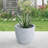 Karola Pot Planter-1267224138-1210281157