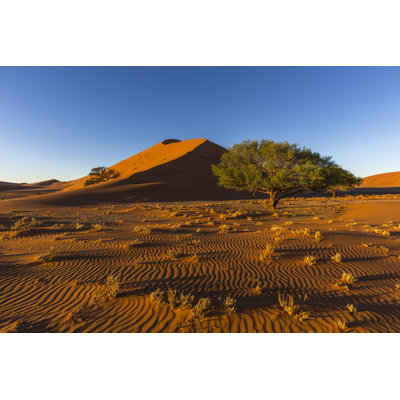 Sand Patterns In Early Morning Light - Wrapped Canvas Print