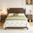 19.7''W 2-Drawer Nightstand