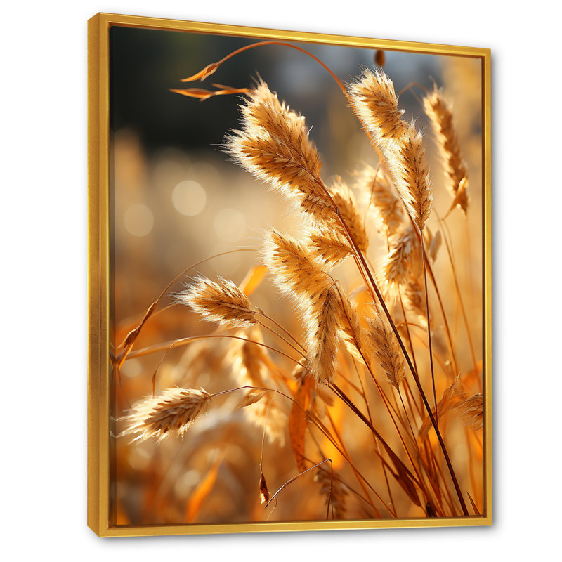 Golden Meadow Grass sur toile, Cadre flottant doré, H 32 po x l 24 po x P 1 po