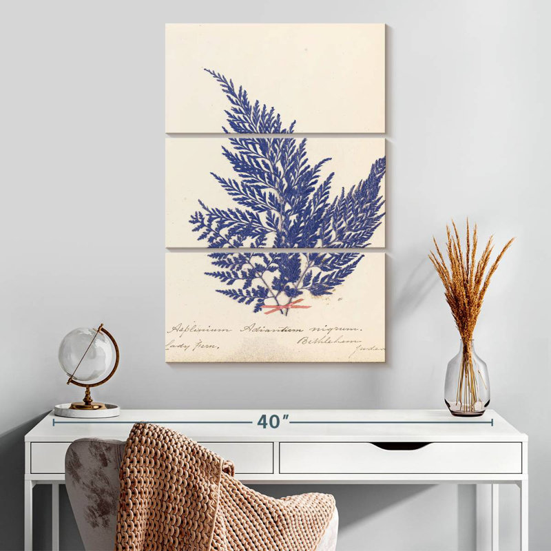 Harnek Botanical Fern II