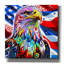«Bald Eagle» par Dean Russo-1967523155