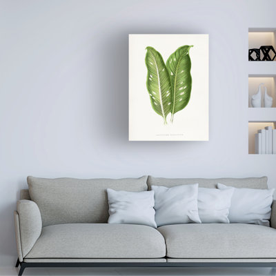Art sur toile, bolologien, Les Plantes, vert