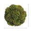 Boules de Sedum décoratives-306876331