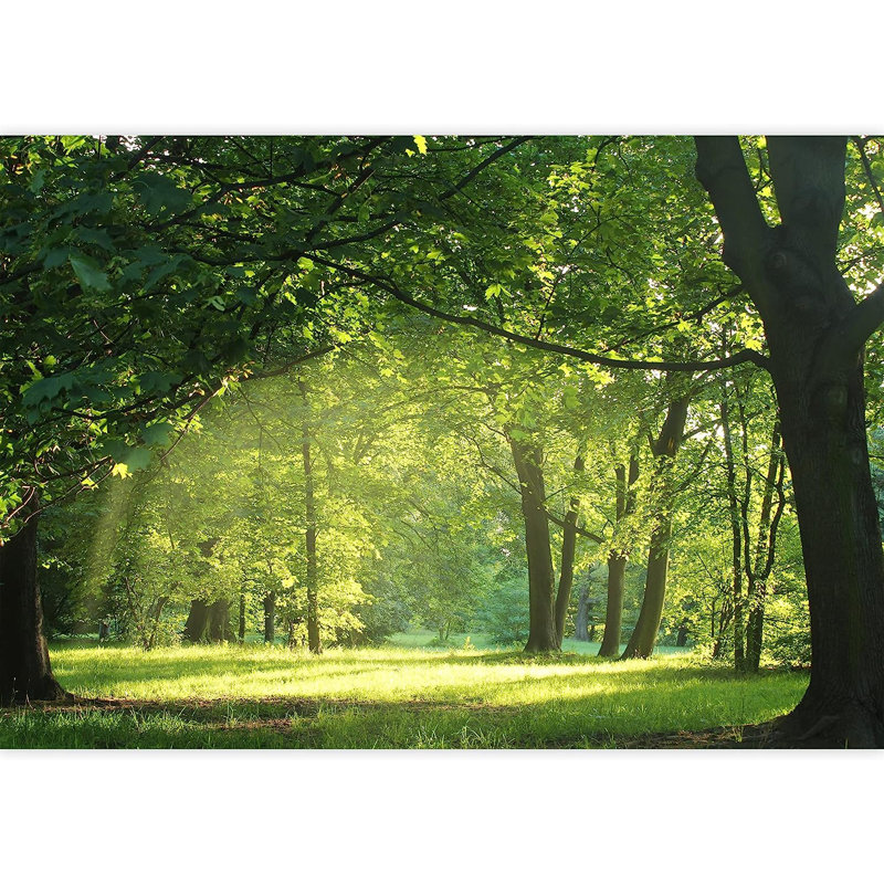 Trees In A Summer Forest, 100" L x 144" W