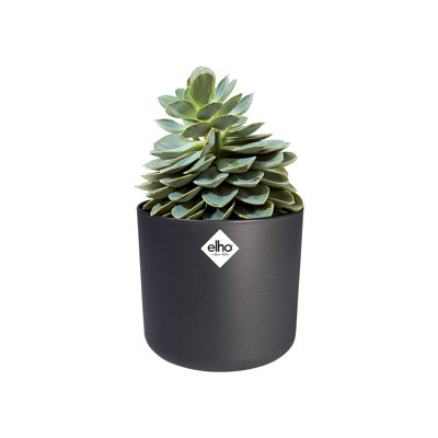 B.For Pot Planter