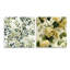 Varnado - Ensemble de 2 plantes murales en acrylique-103935516