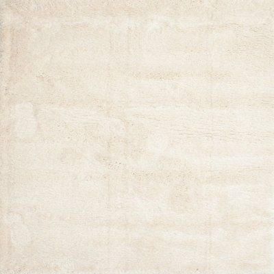 Indoor Rug