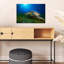 Sea Turtle Sun Rays Peaceful Serene Vibrant Turtle Nature Ocean Wall Art Print 1 Piece Wrapped Canvas Wall Art-826582322
