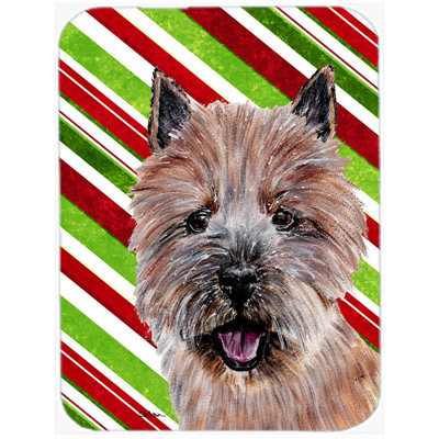 East Urban Home Norwich Terrier Candy Cane Christmas Glass Cutting Board