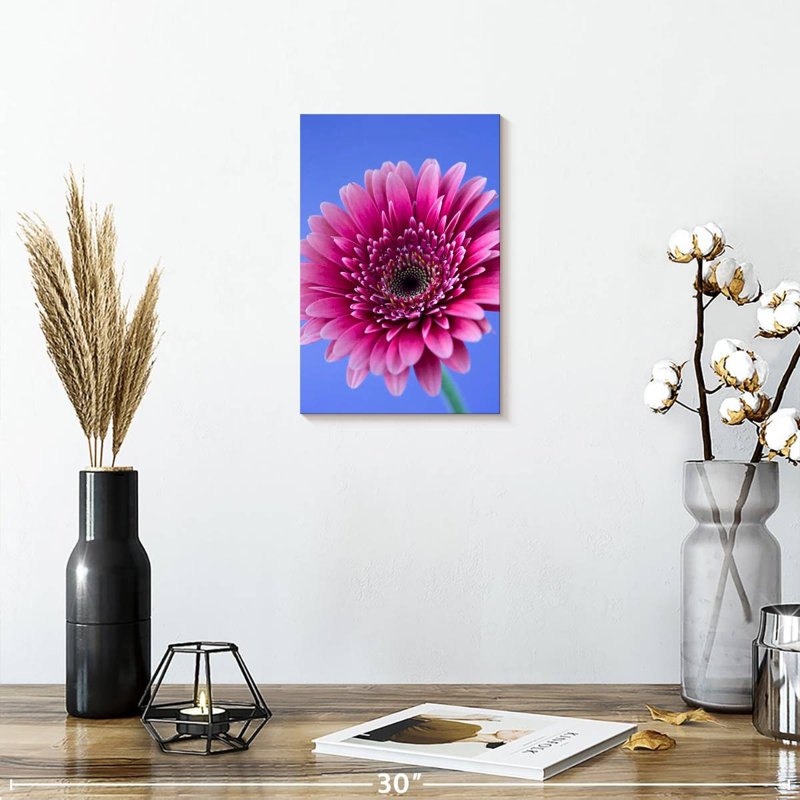 Rose Harnek Gerbera Daisy I, H 12 po x l 8 po