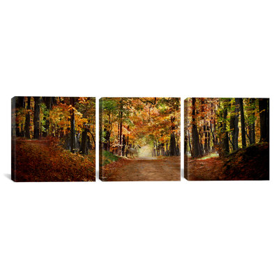 " Horse running across road in fall colors " Color Photography