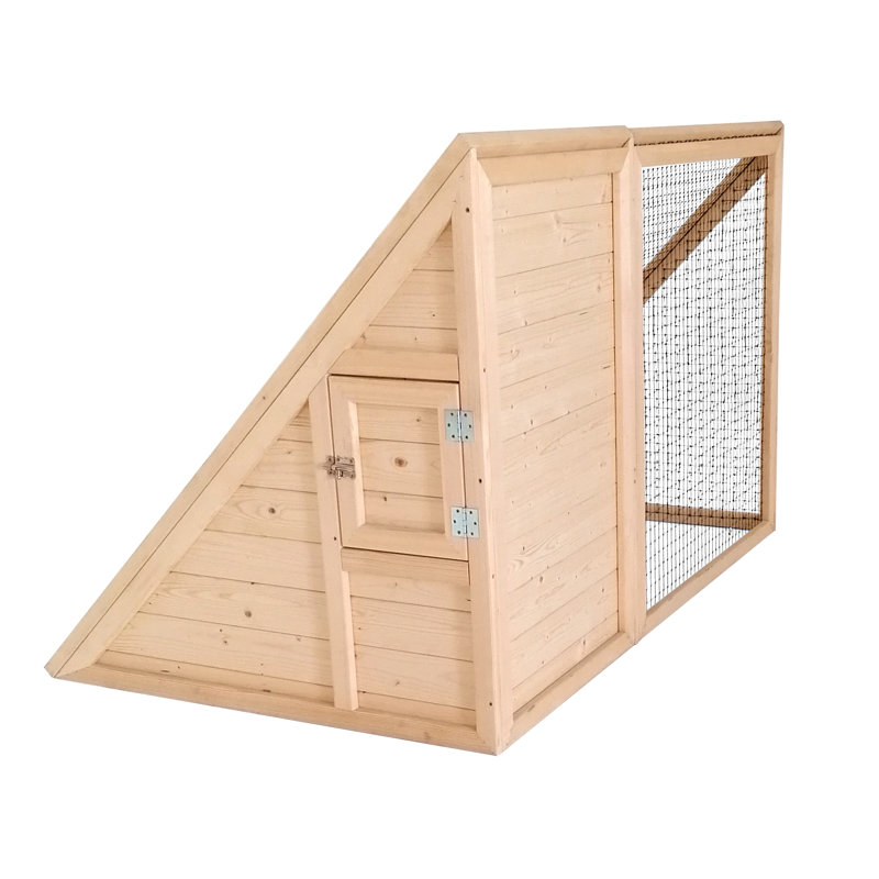 Paisleigh Chicken Coop