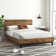 Fillmore Solid Wood Bed frame with Adjustable Headboard