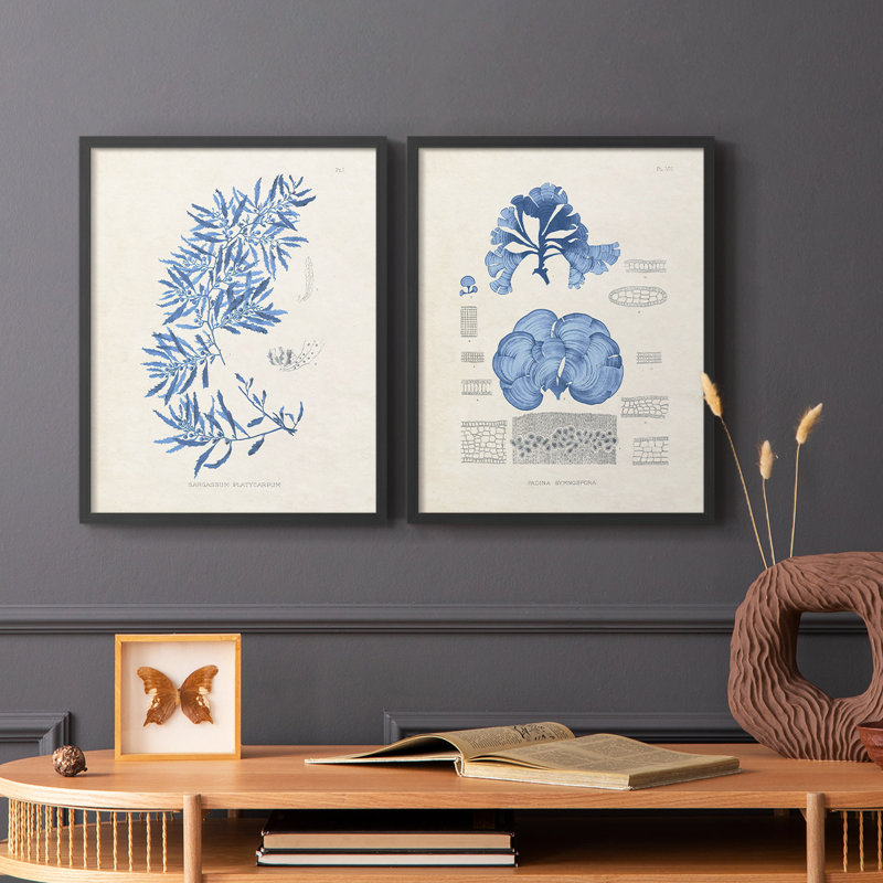 Blue Marine Algae III - reproduction encadrée de qualité supérieure - prête à être accrochée - aucun clou requis - aucun clou requis