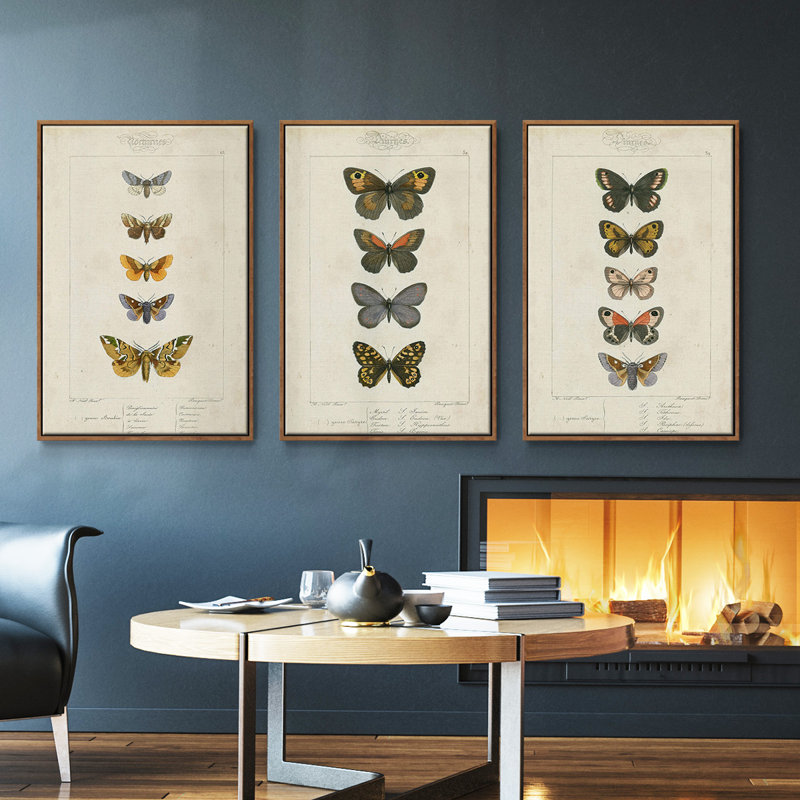 Ensemble de 3 papillons encadrés sur toile pauquet, H 40 po x l 78 po, Noyer