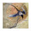 Art sur toile, lune d'or-105649333