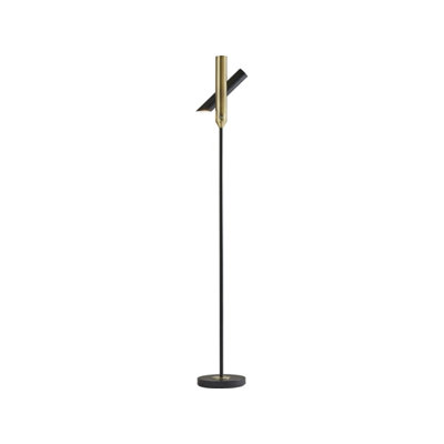 Lampe DEL sur pied 68 "