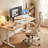 Cablady S2 Ergonomic Office Chair in Cream White-1537282279