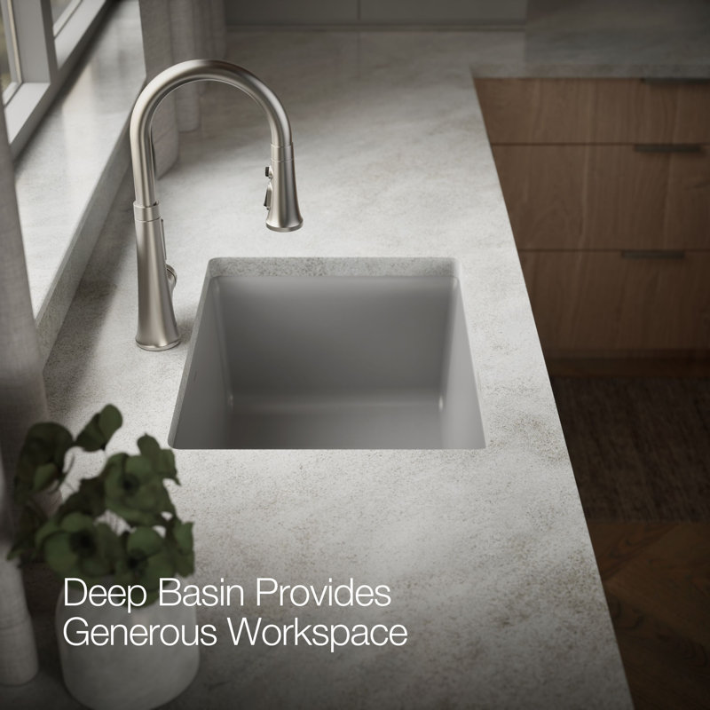 Kennon 25" L x 22" W Undermount Kitchen Sink