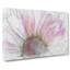 Pink Daisy Flower In Abstract - Wrapped Canvas Print-55342176