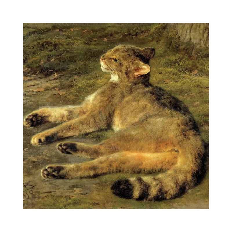 Wild Cat, 1850 by Rosa Bonheur - Wrapped Canvas Painting, 30.48cm H x 30.48cm W x 1.91cm D