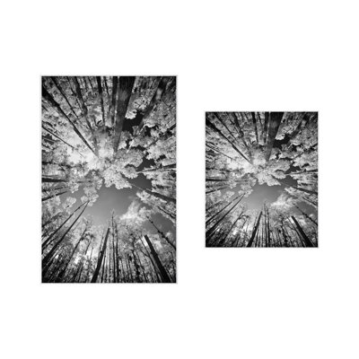 Mcabee Non-Slip Shower Mat