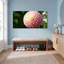 Ensemble de 1 tableau sur toile tendue avec fleur de dahlia rose-1511511979
