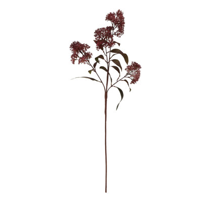 Anastasija Arrangement