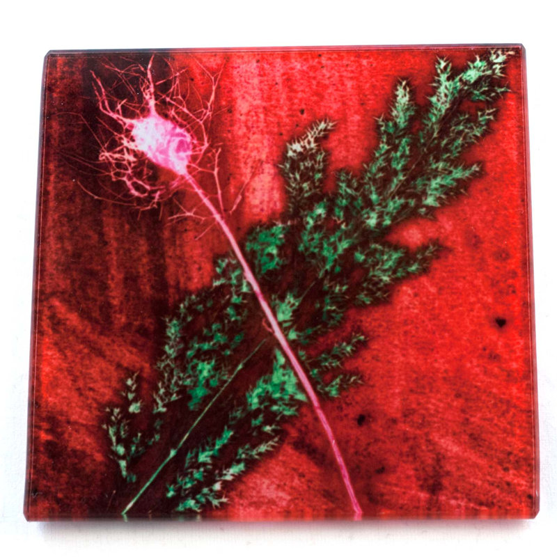 Glass Square 1 Piece Coaster, Festive