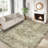 Vintage 5x7 Area Rug – Washable, Non-Slip, Low Pile, Distressed Floral Compact Accent Mat, Spot Resistant Soft Floor Cover for Living Room, Bedroom, Dining Room – Brown, USA Storage, 5x7ft (152x213cm)-1665441733
