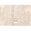 Tapis gris Tangier 8 pi 3 po x 10 pi 1 po
