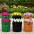 17.7" 10-Gallon Grow Bags with Window, Fabric Potato Planter Pots with Harvest Flap, Mixed Colors (2 Black, 2 Green, 2 Orange Ginger)-173259575