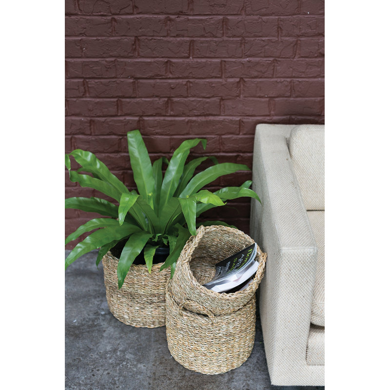 Birch Lane™ Evalena Seagrass Decorative Basket