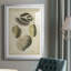 " Vintage Shell Study I "-1030002257-1030002261