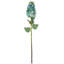 Hydrangea Stem-1909372772