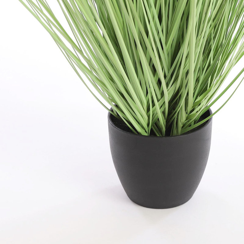 68cm Grass in Pot