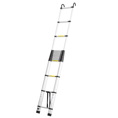16 - Step Lightweight Extension Ladder