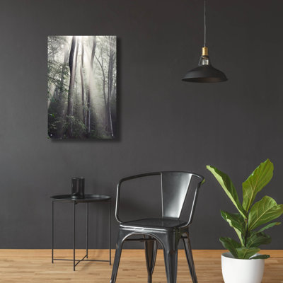 «Woodland Sun» par Nicholas Bell, art mural en verre acrylique