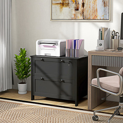 Entry Cabinet, 2 Drawer File Cabinet With Lock, Lateral Filing Cabinet With Keys And Adjustable Hanging Bar by Millwood Pines