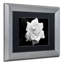 Modern & Contemporary-22947445-25775998-25775999