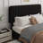 Haden Upholstered Platform Bed Frame with Adjustable Headboard-179956161-179956166