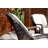 Algird Outdoor Dining Armchair with Cushions-57677833-90804141