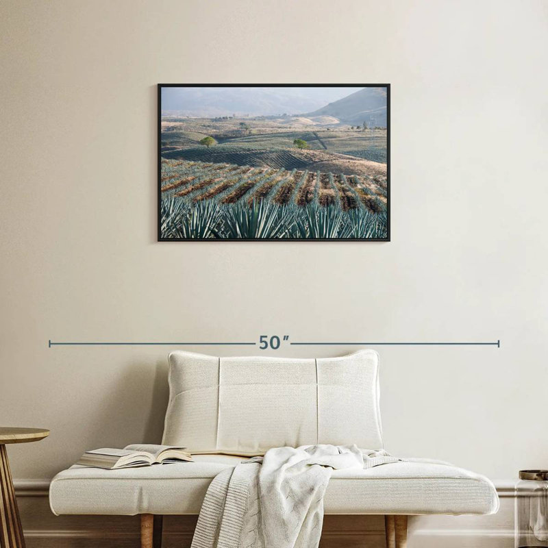 Téquila Jalisco Agave Field, Cadre flottant noir, 31 po x 21 po