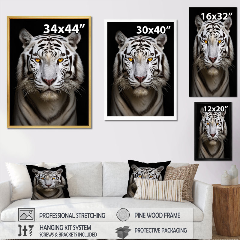 " Fierce White Tiger III ", Black Floater Framed, 32" H x 24" W x 1" D