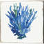 «Blue and Green Coral» par Aimee Wilson, art sur toile (ensemble de 4)