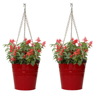 Lundyn Handmade Metal Hanging Planter