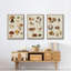 " Mushroom Species I " 3 - Pieces-91891192-91891184