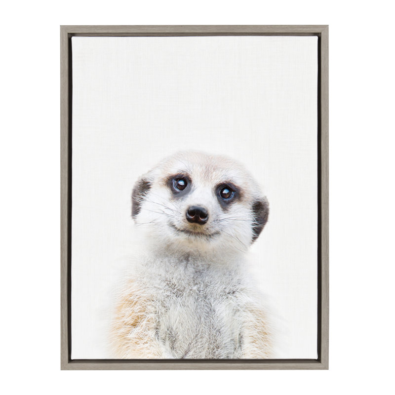 Reproduction d'art sur toile encadrée, "Animal Studio Mekerat" par Amy Peterson