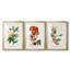 Turpin Tropical Botanicals VI - reproduction sur mesure encadrée de qualité supérieure - 3 pièces-925958043-925958041